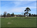 Looking towards Sutton Fields House