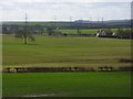 Farmland, Marten