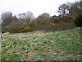 Scrubland on Great Ground Hill