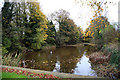 Medi?val Fishpond at Magdalen College School, Brackley, Northants