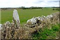 Old Gate Post in Wall