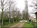 Driveway to Blacksmiths Farm