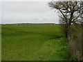 View across the fields from Alland Grange Lane