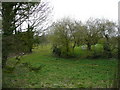 View south-west from the churchyard