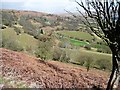 View from Cefn Moel