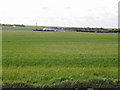 Lads Farm on Margate Hill seen from Manston Road