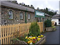 Spring Flowers at Okehampton  Station