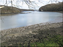 SW7225 : Helford River by Dr Duncan Pepper