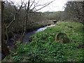 River Alun below Tyddewi/St David