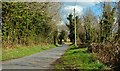 J4655 : The Castlerainey Road near Derryboye by Albert Bridge