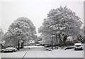 Beck Hill, Barton Upon Humber, Easter Sunday 2008