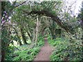 Footpath to Manor Farm