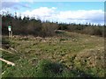 Forestry near Merryfield