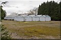 Greenhouses at B & W Nursery, Plaitford