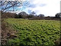 Field by the A388