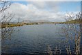 J3637 : Ballylough private fishing lough by James Carroll