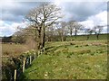 Fields at Youldon