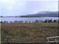 Looking north east across Loch Maree