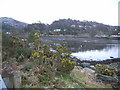 Looking across Gairloch Harbour