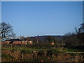 Peckforton Castle across the fields