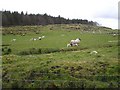 Churchtown Townland