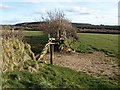 Gate and field boundary near Windabout Cross