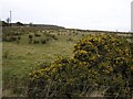 Smulgedon Townland