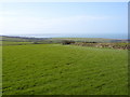 Footpath at Downhouse