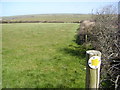 Footpath from Trebarwith Road to Trenouth Farm