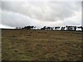 Moorland near Slade House