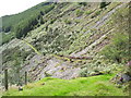 Path on the steep hillside above Maes-mawr