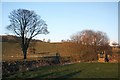 Footbridge by the Afon Aeron