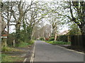 Looking north up Sinah Lane