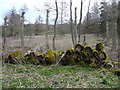 River Derwent Footpath View