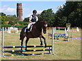 Showjumping at Little Berkhamsted