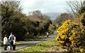 The Comber Greenway (5)