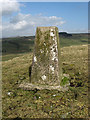 NT6309 : The trig point on Southdean Law by Walter Baxter