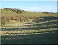 Wiltshire Wildlife Trust Nature Reserve, Coombe Bissett Down