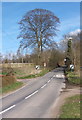 Lane towards Bacton leaving Wetherden