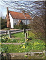 Springtime in Wetherden churchyard, looking across Church Street