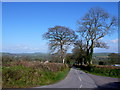 Lane from Blackdown Hill to Childhay