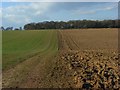 Farmland, Stokenchurch