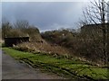 Railway lines appear from under canal bank