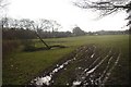 Muddy field near Pontbrenddu