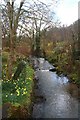 Afon Mydr at Cwm-wenallt