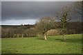 Field near Mydroilyn