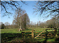 Gate into cattle pasture