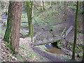 Footbridge along a muddy path