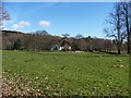 View from the start of the Laggan Wood circular walk