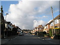 Looking up Burrill Avenue